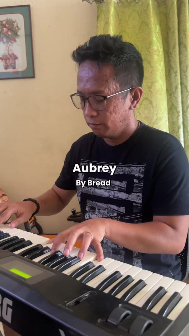Aubrey by Bread Instrumental Cover